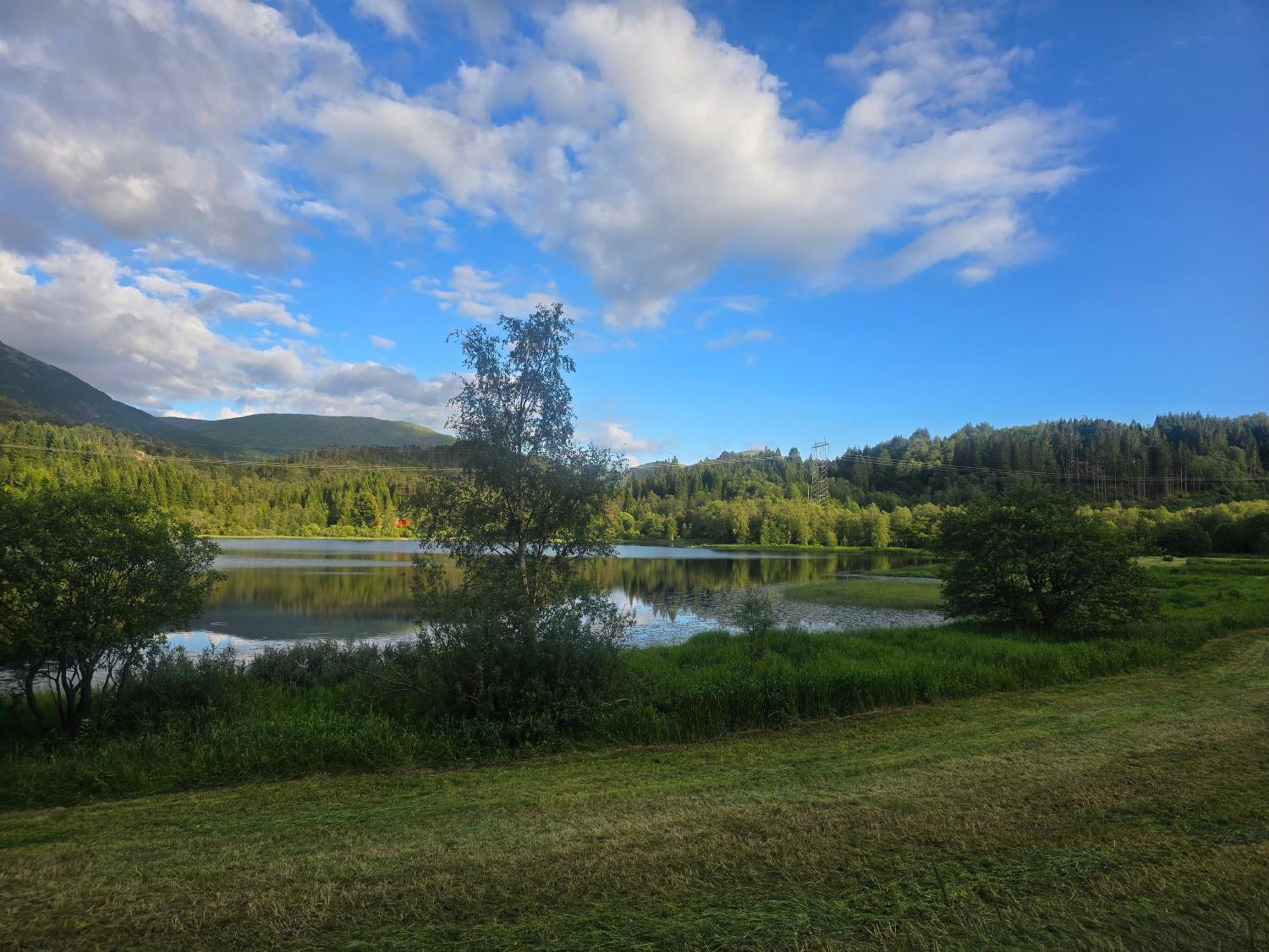 Ks Modern & Cozy Flat 20 Min From Centre Bergen