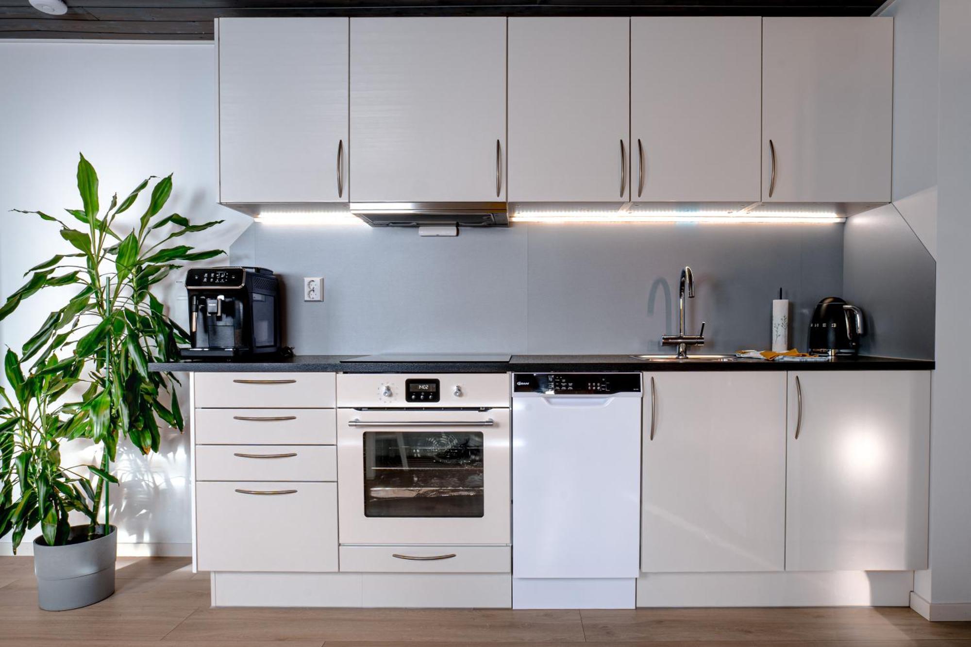 Ks Modern & Cozy Flat 20 Min From Centre Apartment
